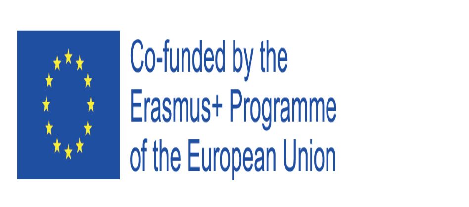 Pins-je-partner-u-provedbi-novog--Erasmus-+-projekta--Demina